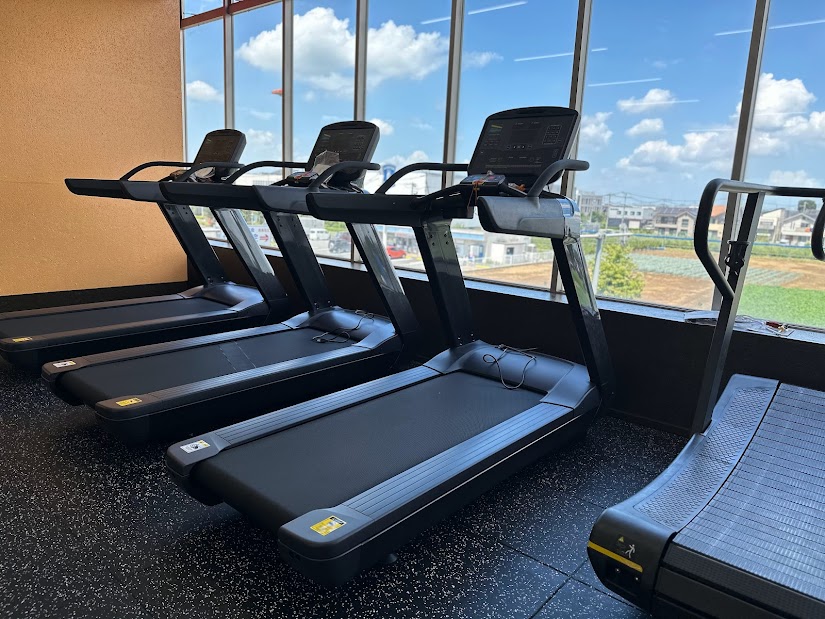 lYdiUsUDMgxXIVuHFe5rphSHdHLghy