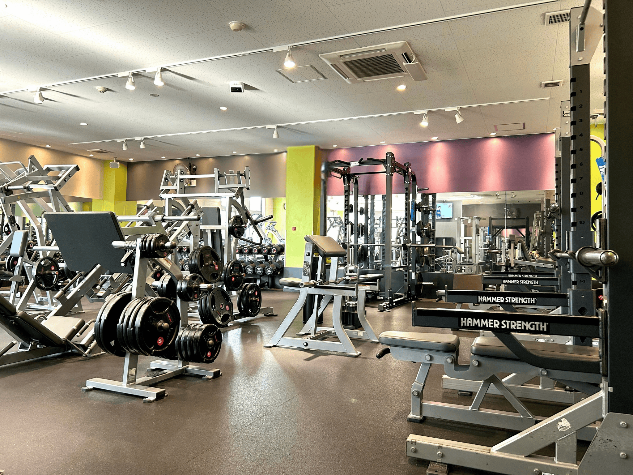 エニタイムフィットネス 新大江店 / 熊本県熊本市中央区 / JR水前寺駅